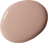 210329_Paranesi-Pink_RBG.png