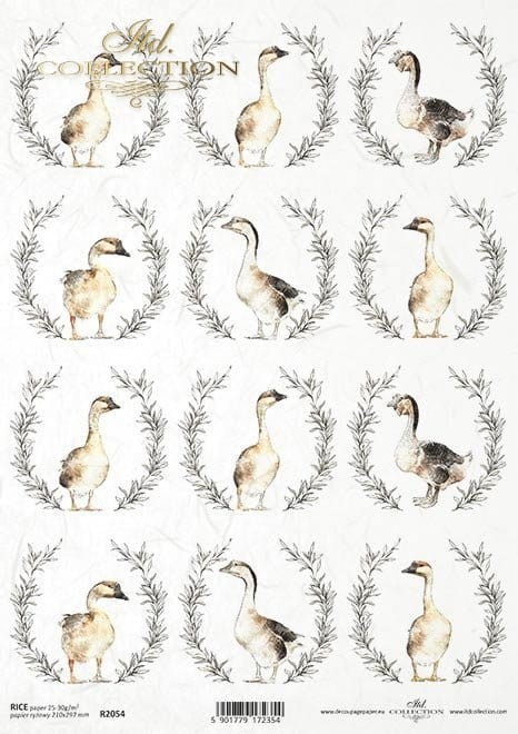 Papier ryżowy Itd Collection Gęsi.jpg