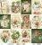 Arkusz papieru do scrapbookingu Mintay Papers - BOTANY 6 30x30.webp