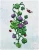 Forma-Foremka-silikonowa-Koniczyna-Biedronki-PL- (2).webp