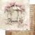 AA-SB-PP-01.webp
