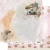 AA-SB-PP-02.webp