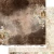 AA-SB-PP-04.webp