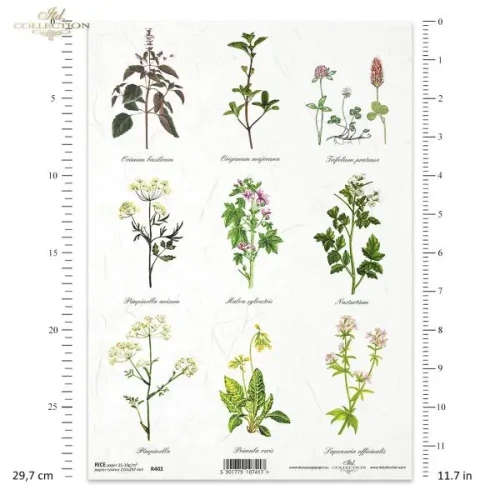 zielnik-itdcollection (2).webp