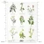 zielnik-itdcollection (2).webp