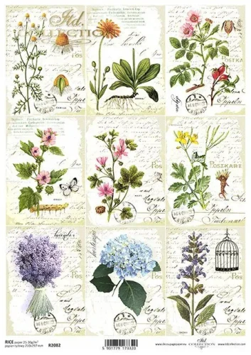 zioła-kwiaty-pismo-itdcollection (2).webp