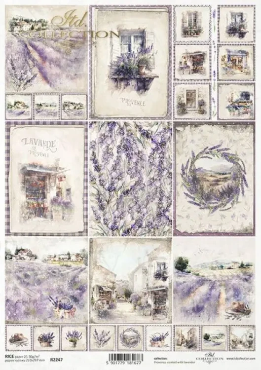 widoczki-lawendowe-pola-lawenda-krajobraz-itdcollection.webp