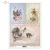 ptaki-itdcollection.webp