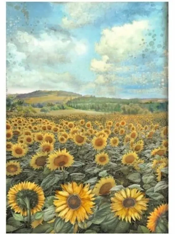 papier-ryzowy-stamperia-zestaw-sunflower (5).webp