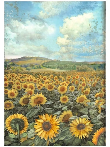 DFSA4770_krajobraz-sloneczniki-stamperia-sunflower-art.webp