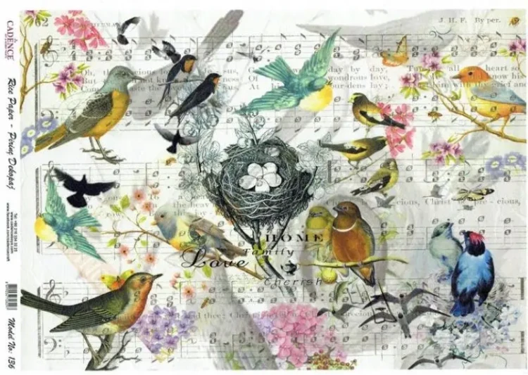Papier-ryzowy-A4-Cadence-Ptaki-kwiaty-gniazdo-nuty.webp