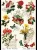 Papier-ryzowy-do-decoupage-cadence-A4-kwiaty-owoce-041.webp