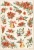 DFSA4806-stamperia-all-around-christmas-rice-paper.webp