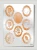 szablon-pantacolor-medaliony-s37.webp