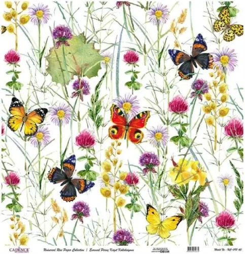 model-uc098-evrensel-pirinc-kagit-kole-9d88-1 (1).webp