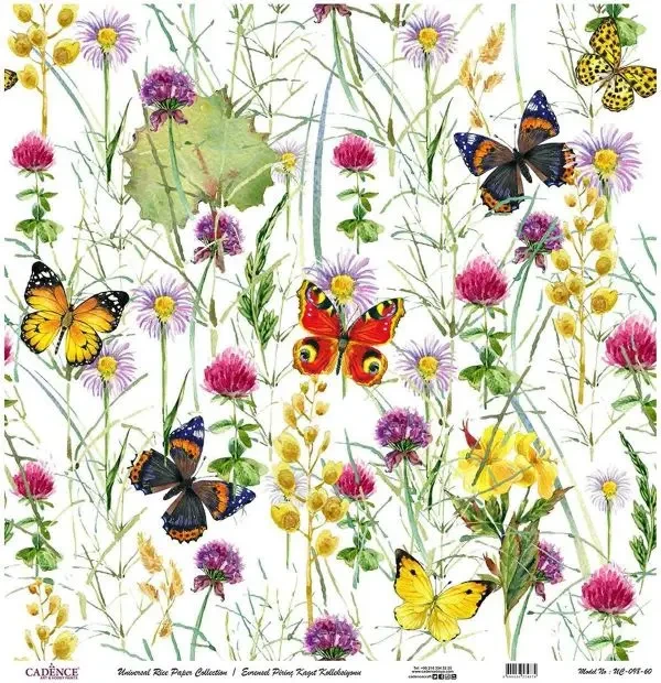 model-uc098-evrensel-pirinc-kagit-kole-9d88-1 (2).webp