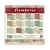 Zestaw-papierow-do-scrapbookingu-30x30-Christmas-Greetings-Backgrounds-Tla-SBBL138-Stamperia (13).webp
