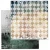 follow-the-rabbit-zestaw-papierow-8x-12-x-12-6.webp