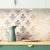 FDTRl_137_2.webp
