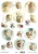 tagi_do_scrapbookingu_itd_colletion.webp